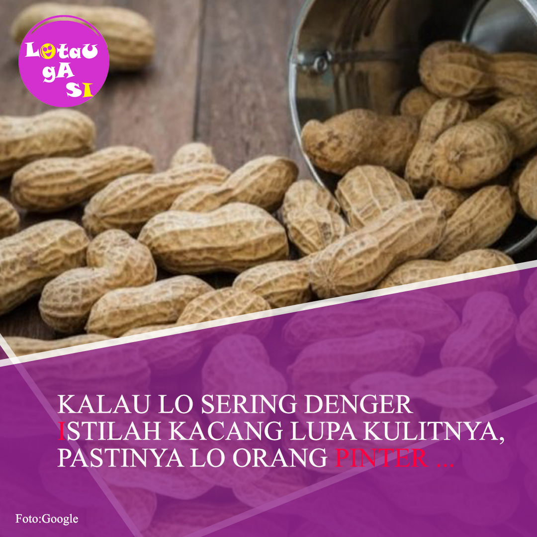 Gambar Kacang Lupa Kulit Sedangkan sally menggambar