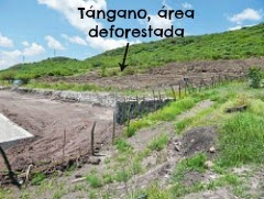 Tángano área natural protegida de Querétaro.