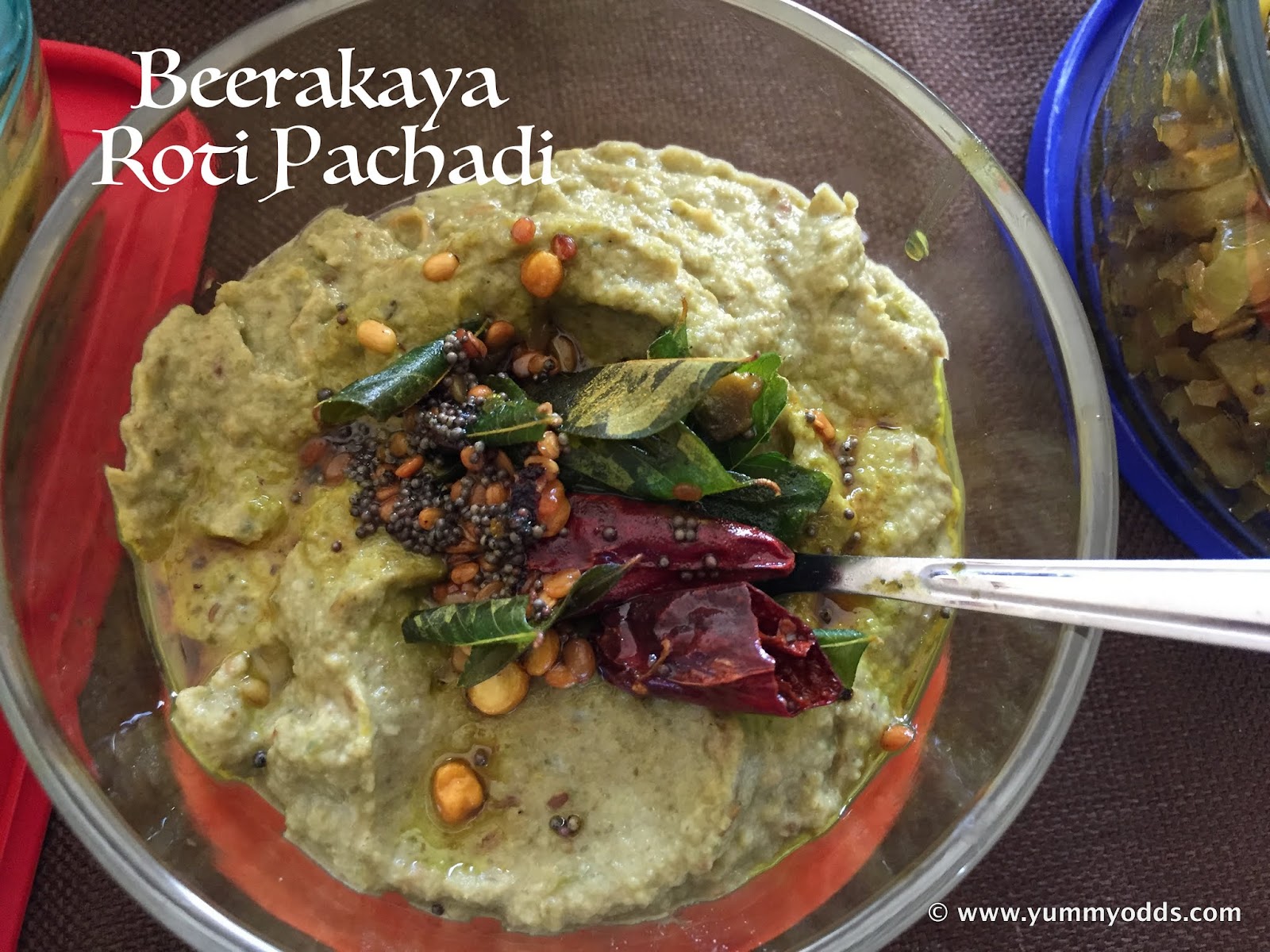 Yum! Yum! Yum! Beerakaya Chutney