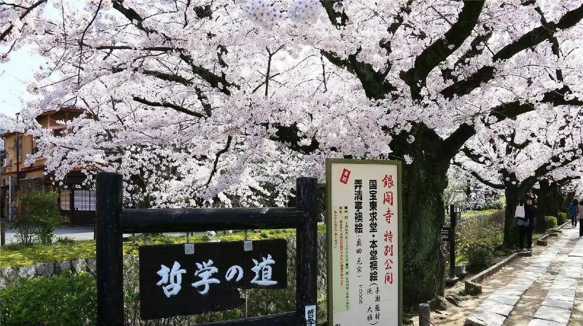 Asia Travel Book 京都五天四夜自由行 感受日本道地之美