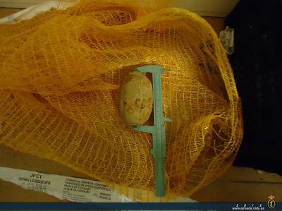 Hallada una granada de mano en un saco de patatas en Cádiz.