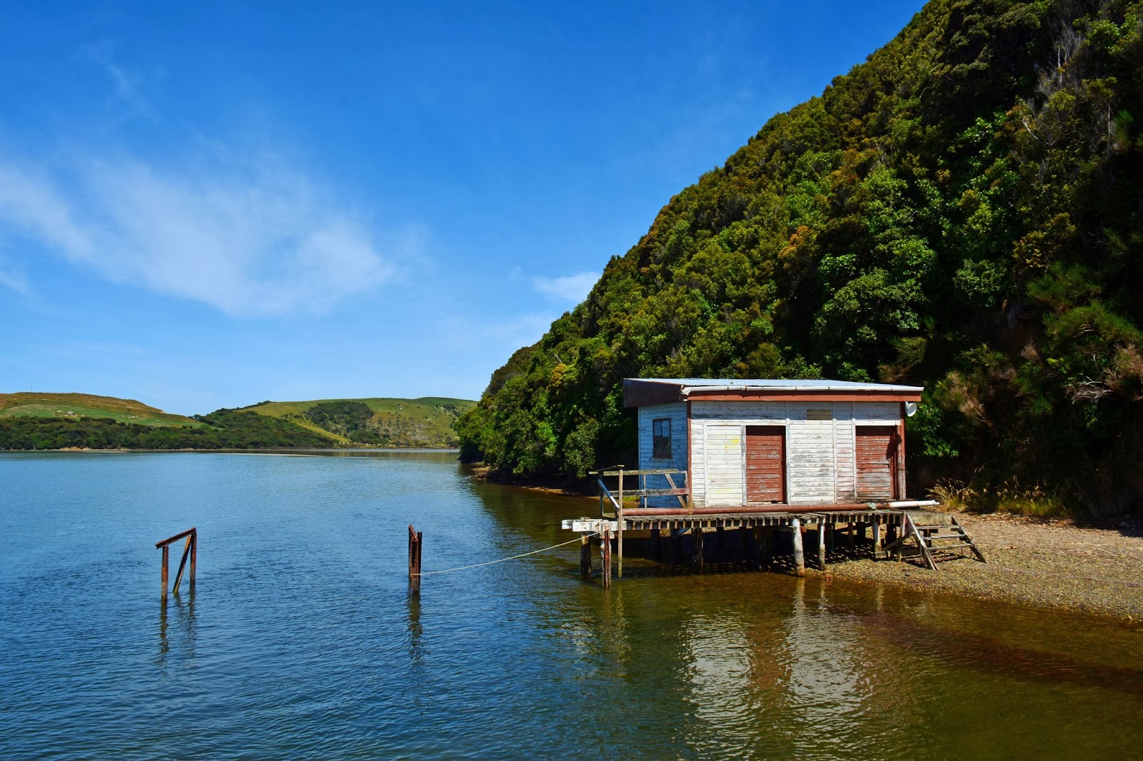 Two Go Tiki Touring Waikawa, Curio Bay & the Petrified Forest, Catlins