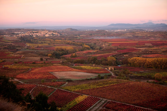 Museo Vivanco Cultura Vino