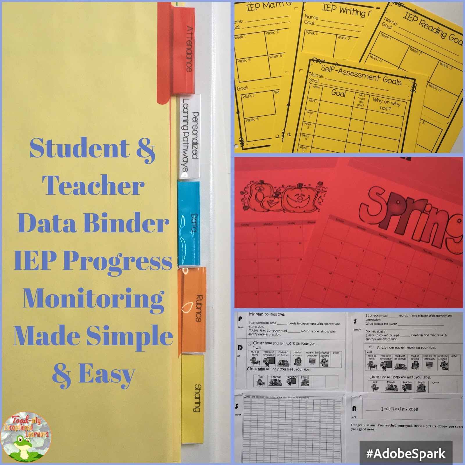 Toadally Exceptional Learners How I Create my Student's Data Binders