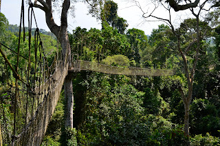 Canopy Walkway at Kakum NP