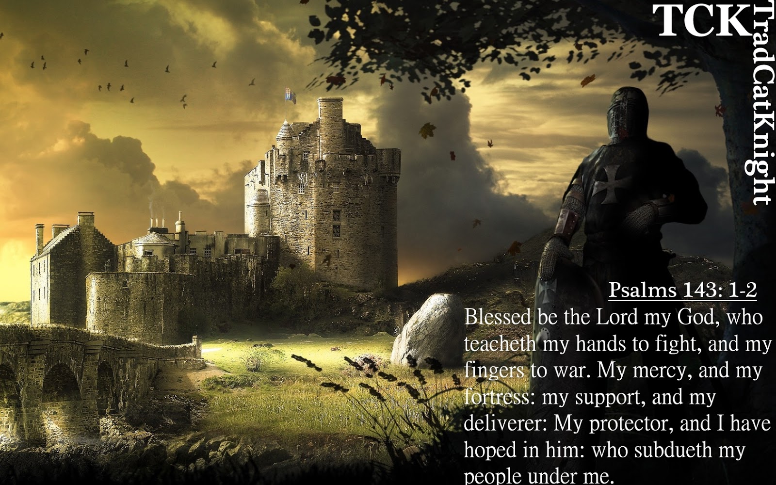 TradCatKnight Homes for Crusaders Domestic Architecture in the