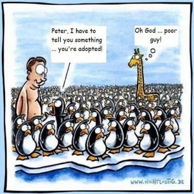 Funny penguin adopted casrtoon joke picture