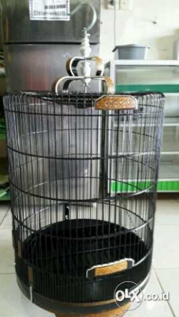 Olx Kandang Burung Bekas Tentang Kolam Kandang Ternak