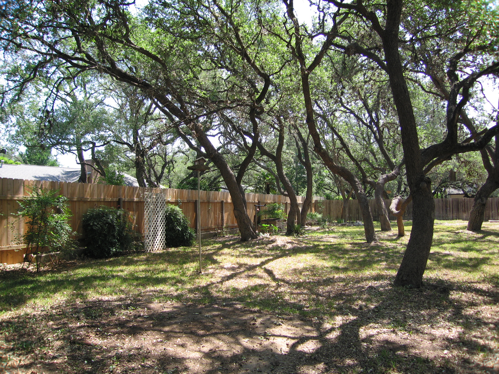 Posted by Barbara Linick at 1008 PM No comments