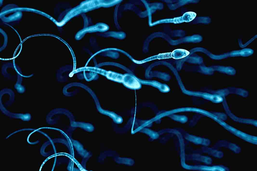 Are You Know Surprising Benefits Of Sperm For Health And Beauty Healthy