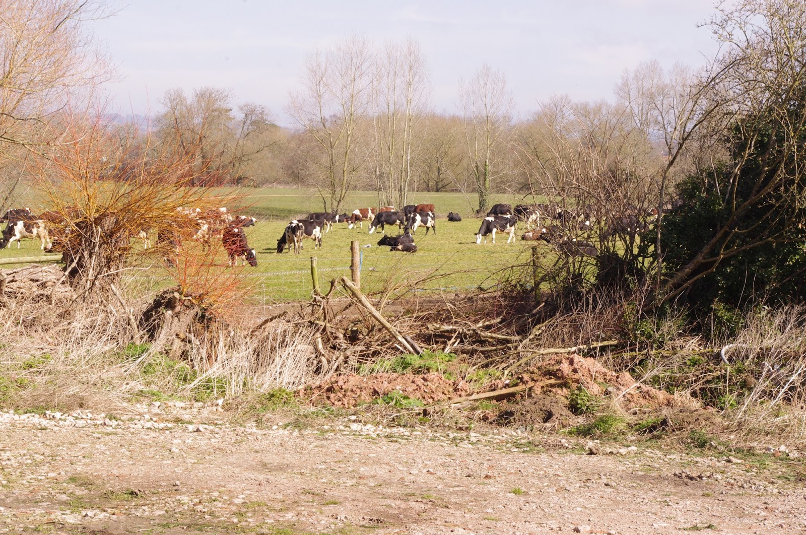 Grazing Kate Quicke's Tour How the Famous Devon Cheese is Made