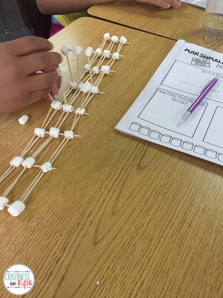 Craziness in Fifth Marshmallow Toothpick Bridges & FREEBIE!