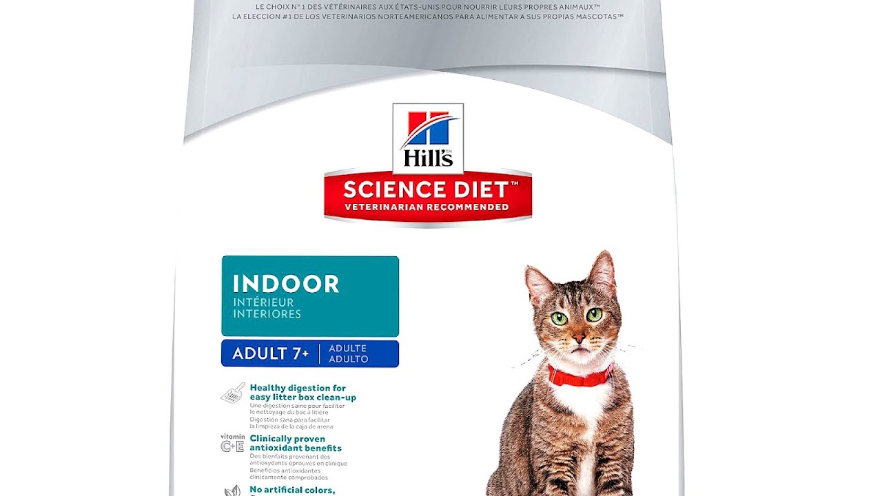 Kibble Cat Food Cat Choices