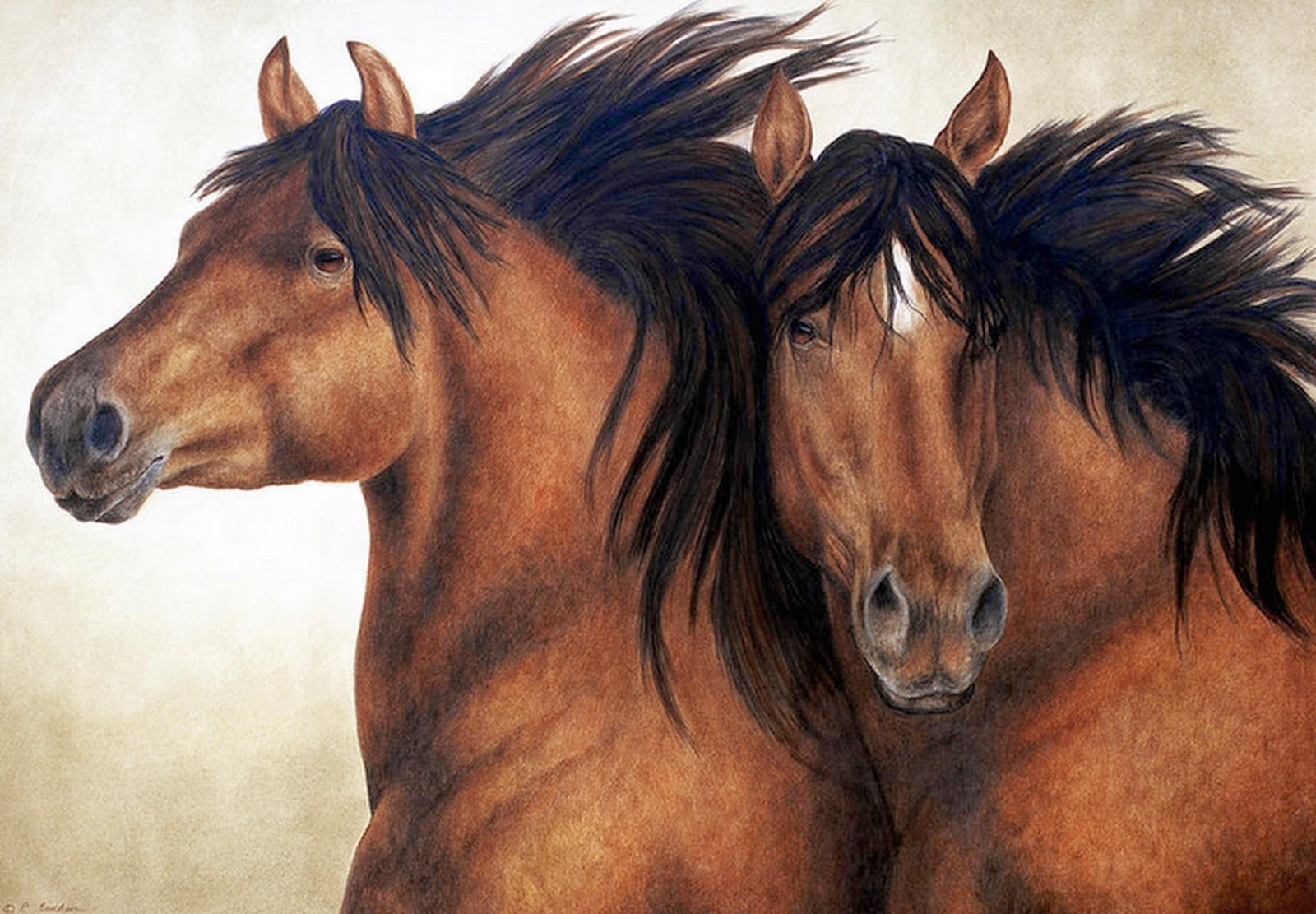 retratos-de-caballos-pintados-al-oleo