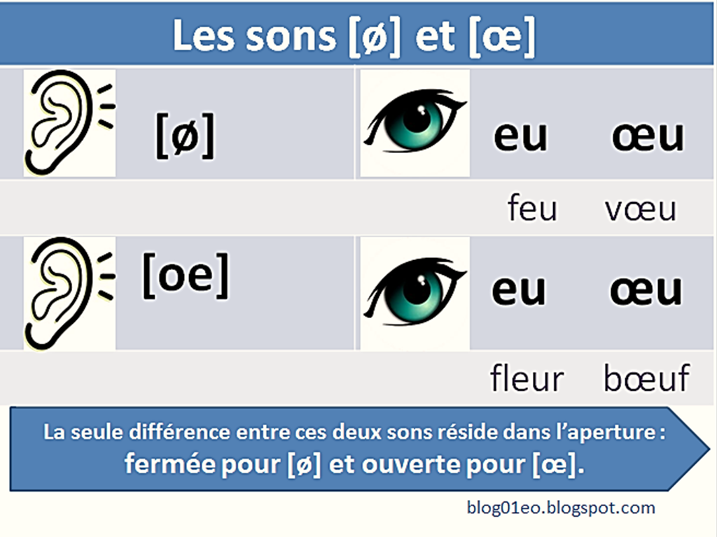 Bien sûr!: SONS [ø] [œ]