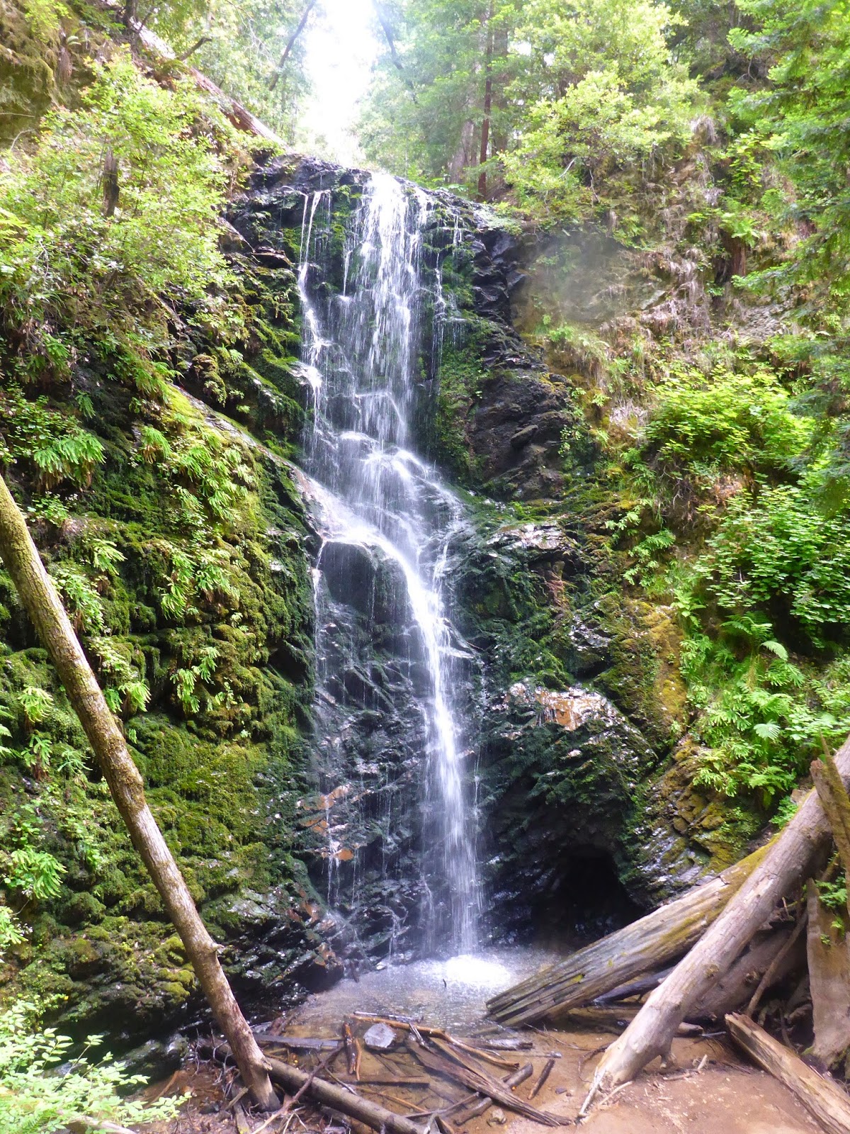 Not THAT Lucas Berry Creek Falls actually had water!
