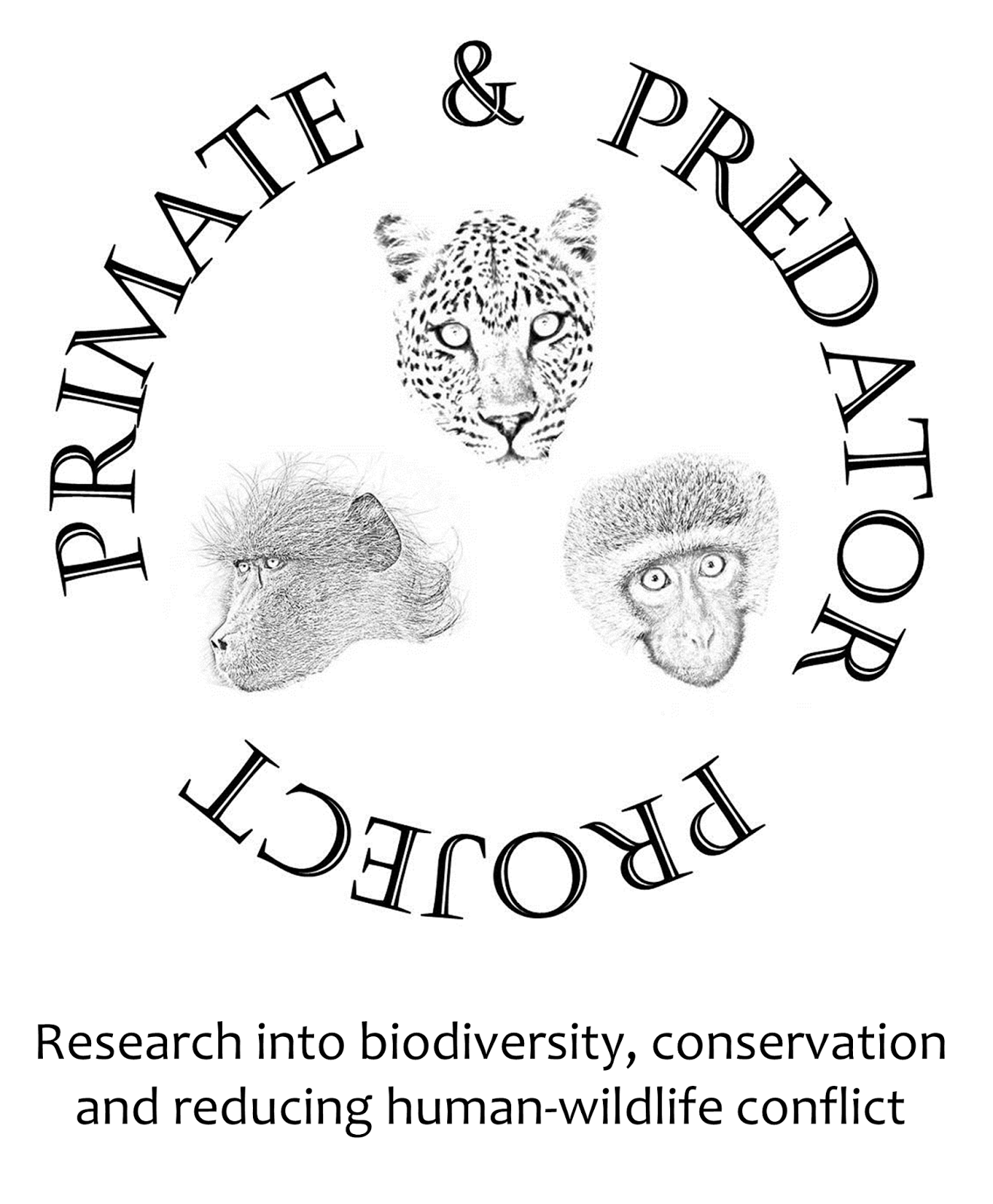 Zoo Jobs Volunteer Primate Research Assistants