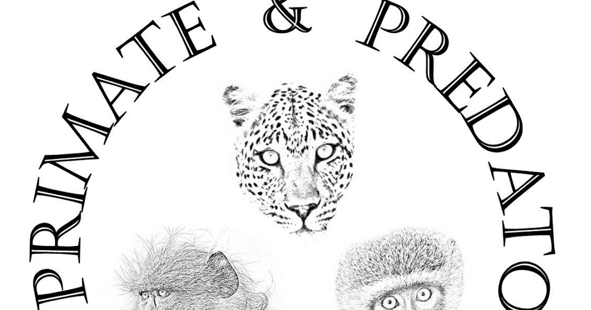 Zoo Jobs Volunteer Primate Research Assistants