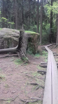 pitkospuut polku suuri kivi metsä