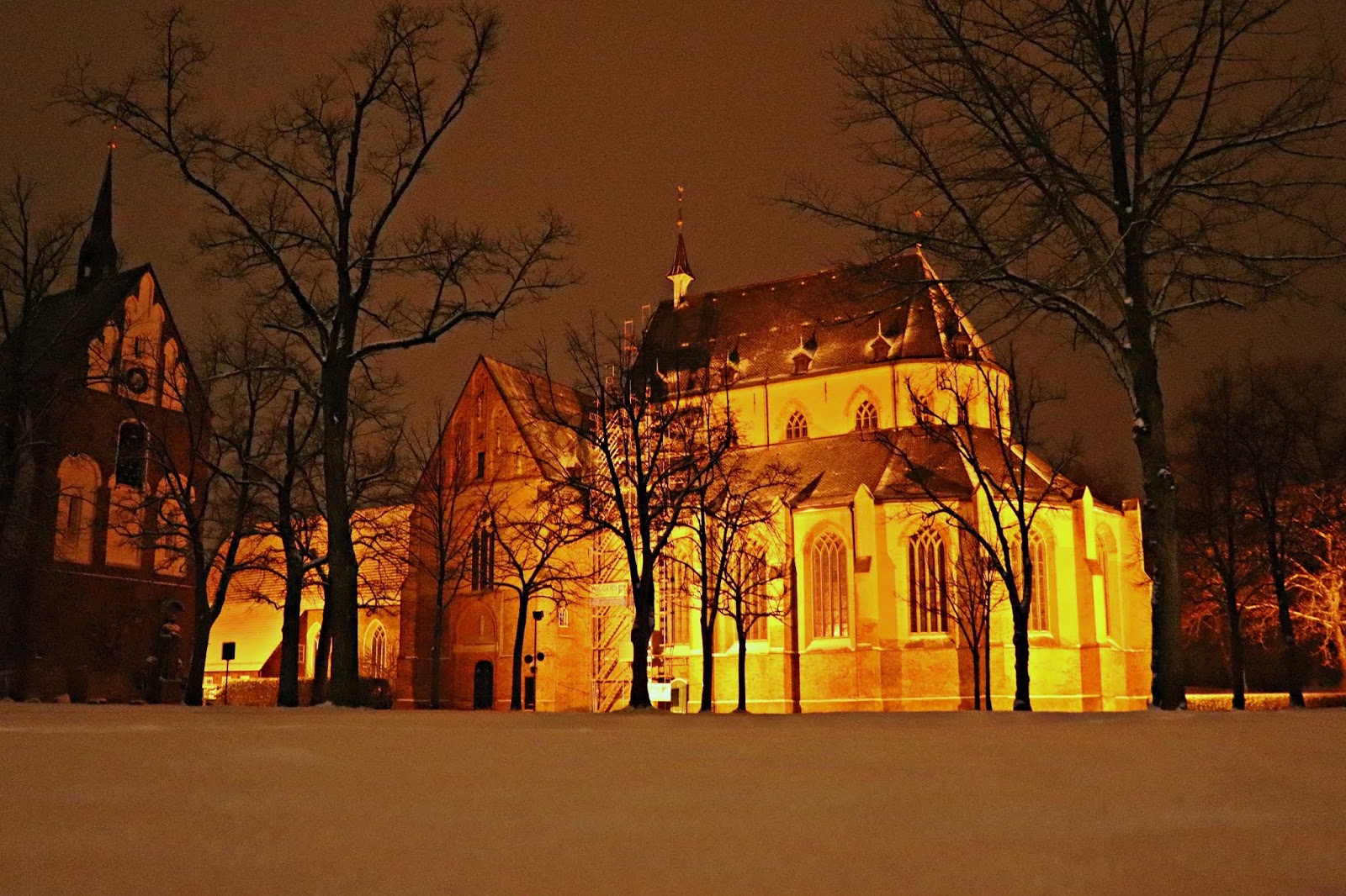 Buchtipp Ihr Letzter Fall Andrea Klier