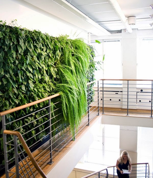 Indoor vertical gardens