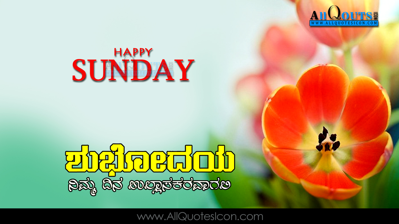 Love Good Evening Quotes In Kannada Table of contents beautiful quotes about love charming love quote to send to your better half every love quote presented in the compilation below will make the person you love really happy. love good evening quotes in kannada