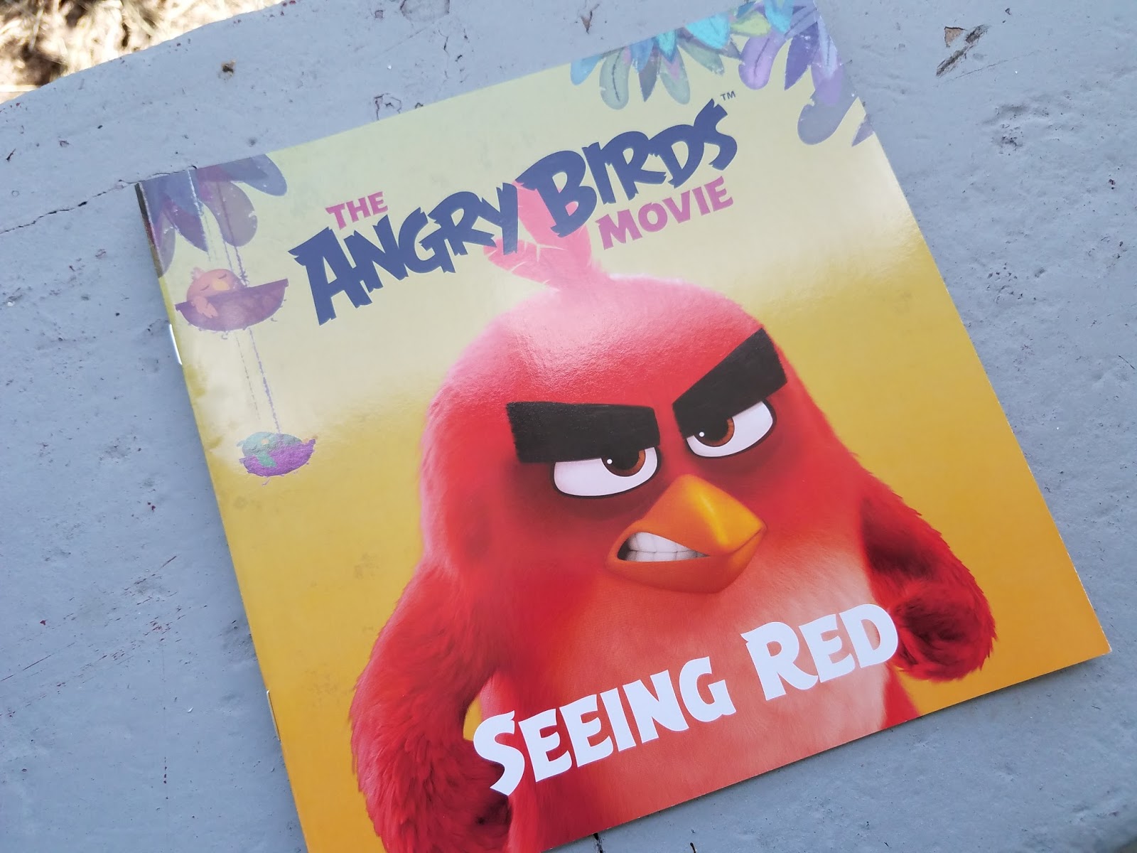 The ABCD Diaries Monthly Subscription Box for Book