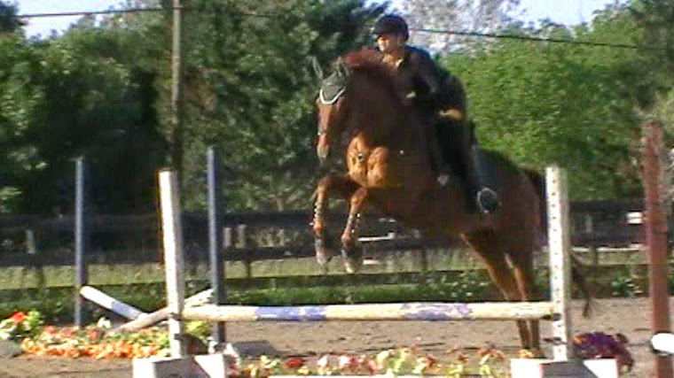 Miss Jean and PrimeTime schooling over low jumps.