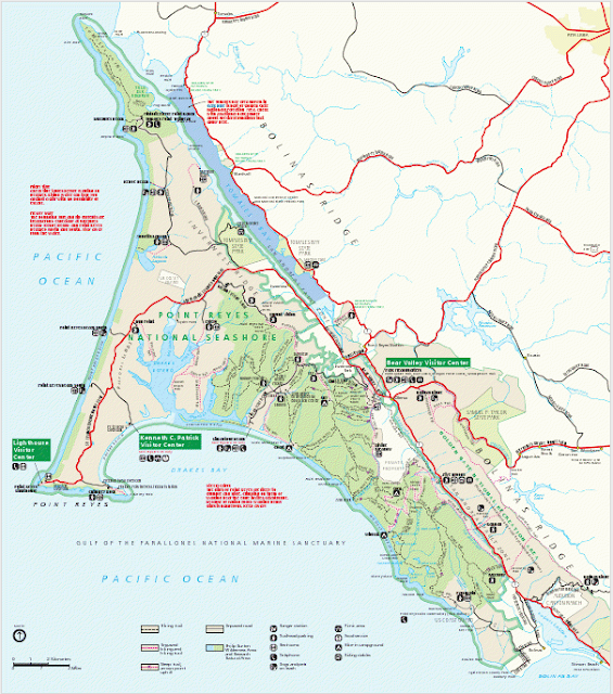 Meandering in Marin on Tuesdays Bolinas RidgeRandall Trail Shuttle