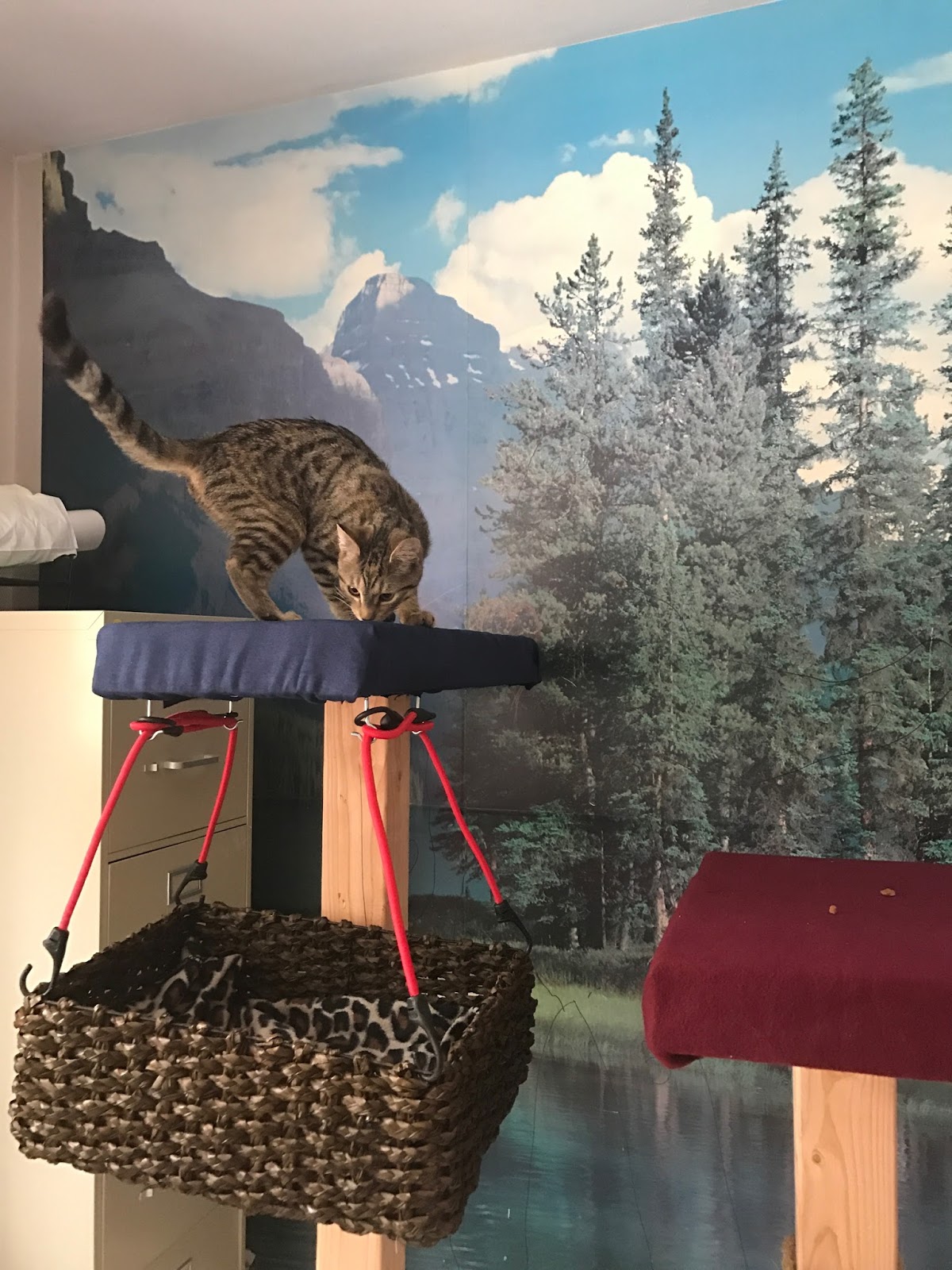 Drew Danielle Design DIY Cat Tower