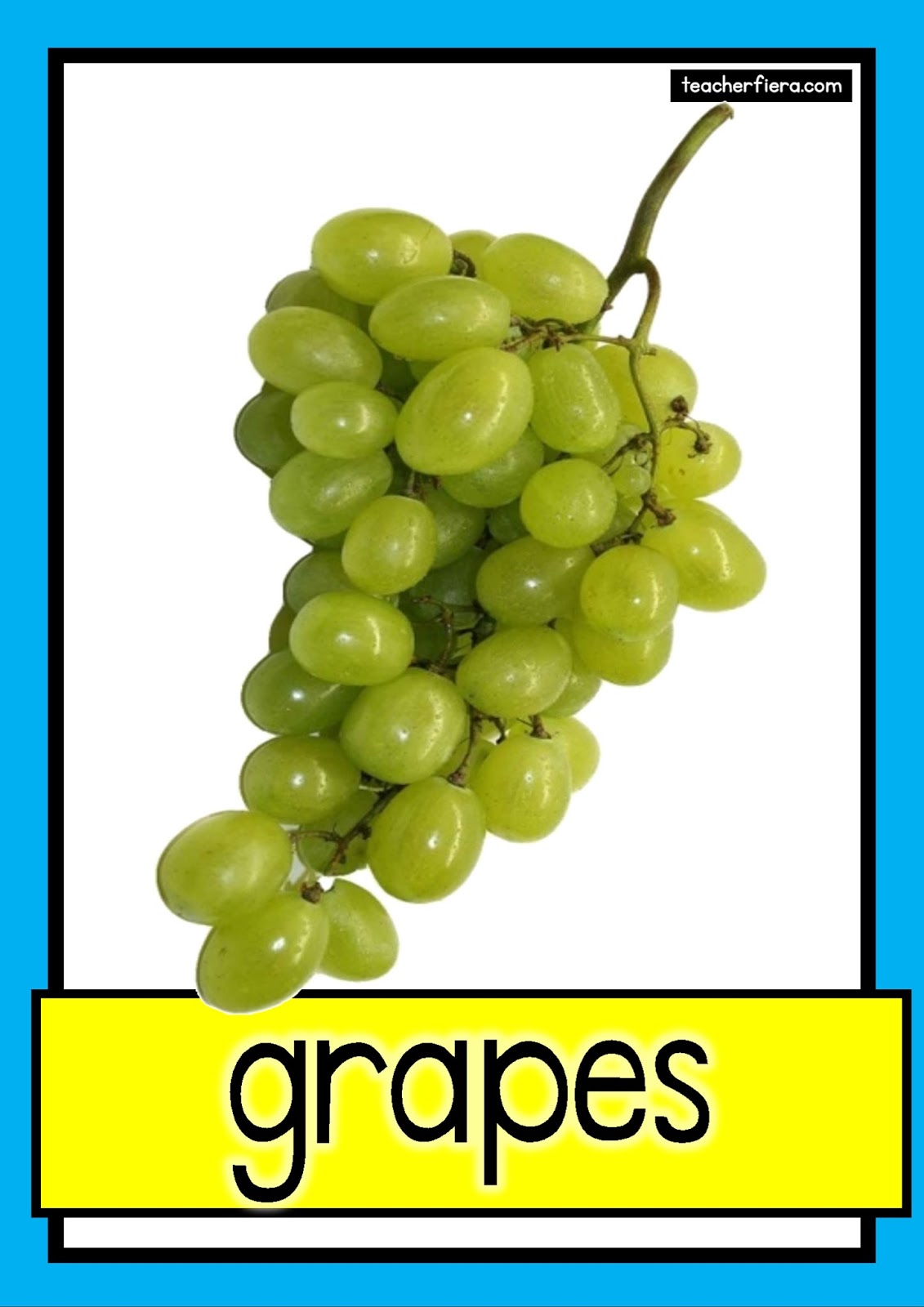 teacherfiera.com: FRUIT 2