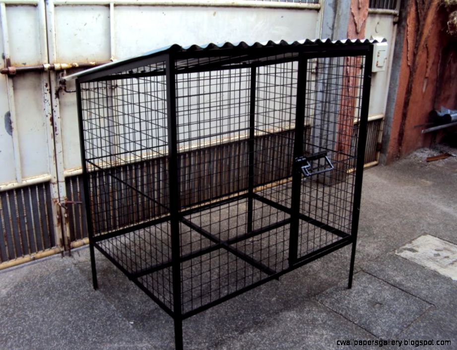 Prairie Dog Pet Cage Wallpapers Gallery