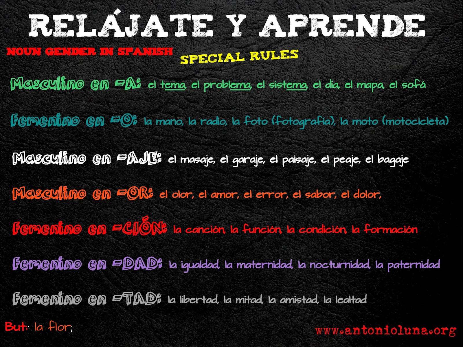 noun-gender-in-spanish-special-rules-compilation-luna-profe