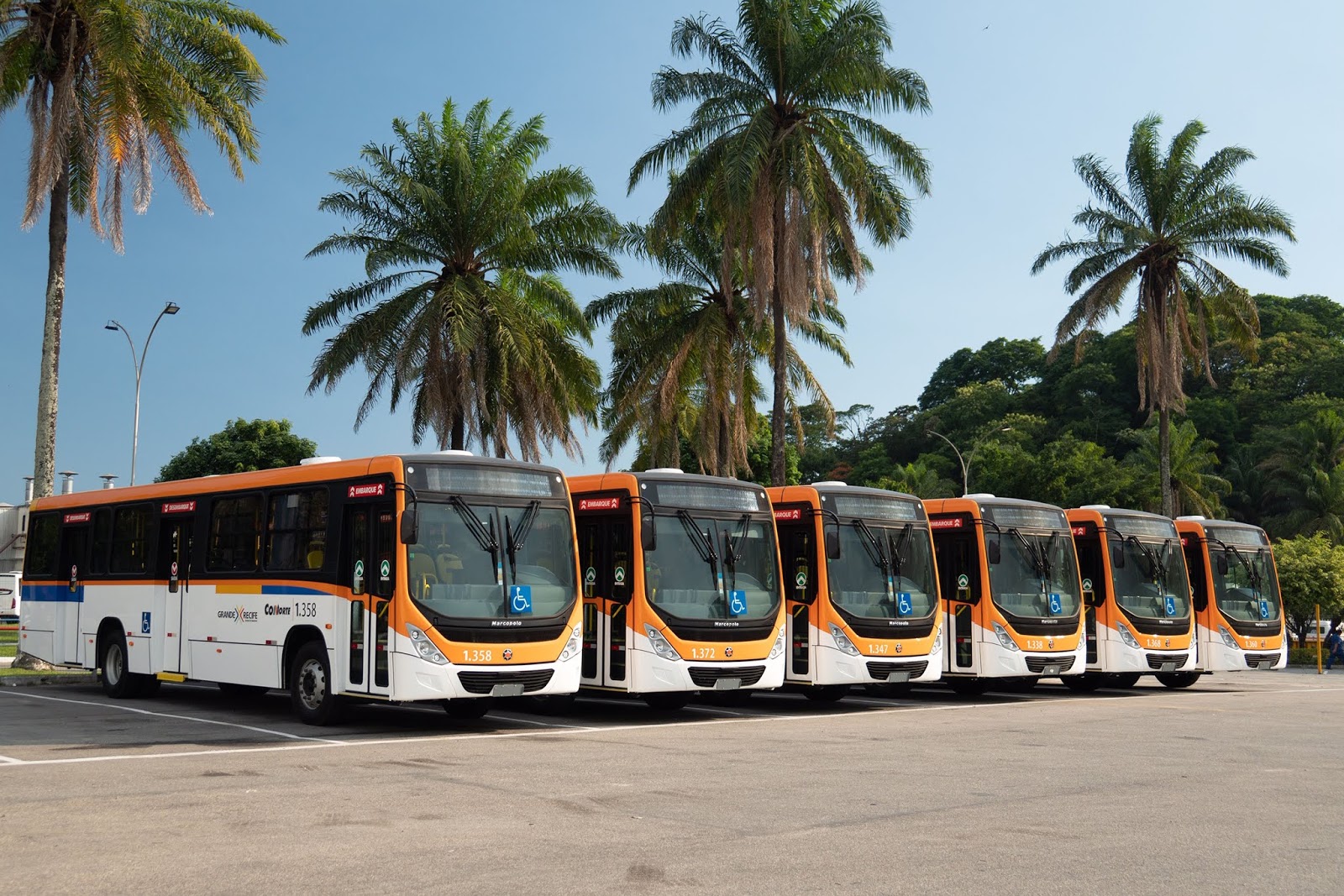 Marcopolo fornece 89 ônibus Torino para Olinda, em Pernambuco 1 Gelson%2BMello%2Bda%2BCosta