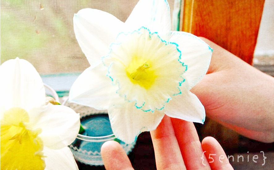 mothership adventures: Flower Science Experiment