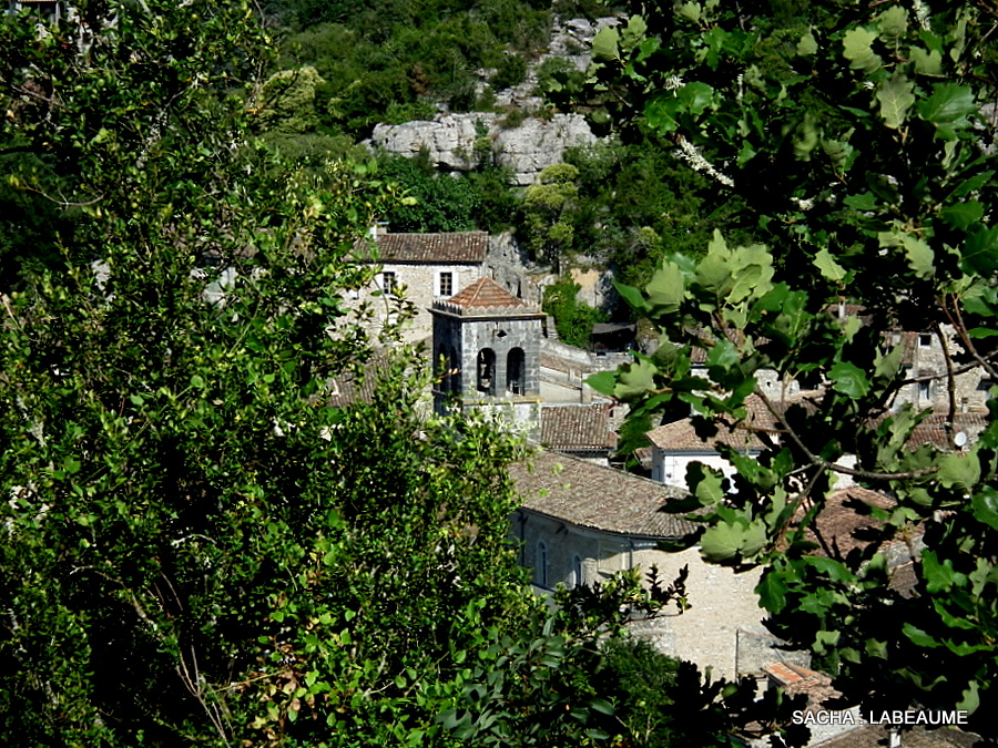 Un jour....Une photo ! Sur le chemin du mas Daudet et du belvédère