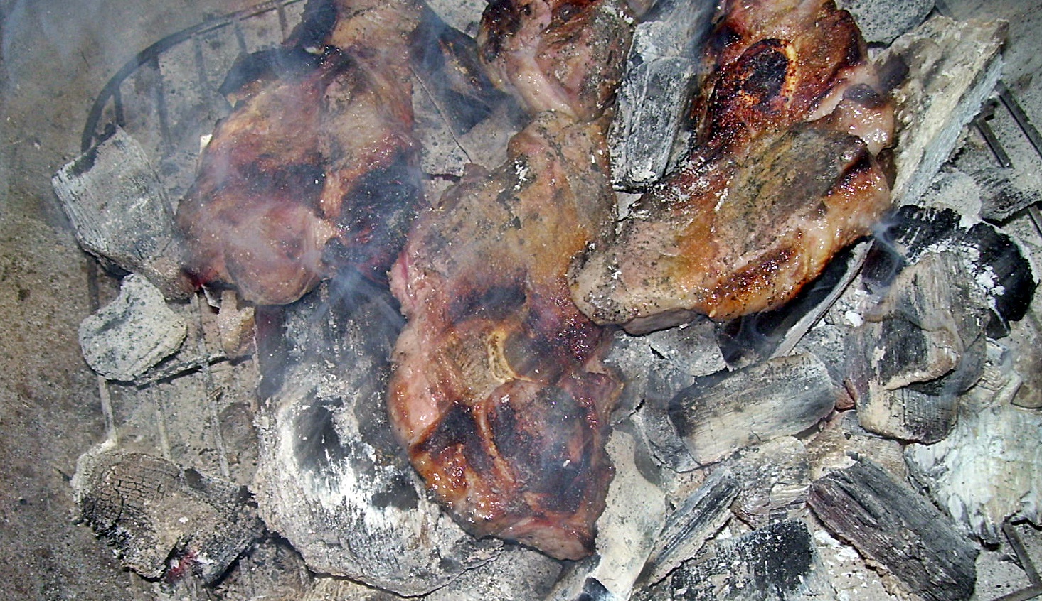 Grand Life Food & Cooking: Paleolithic grill