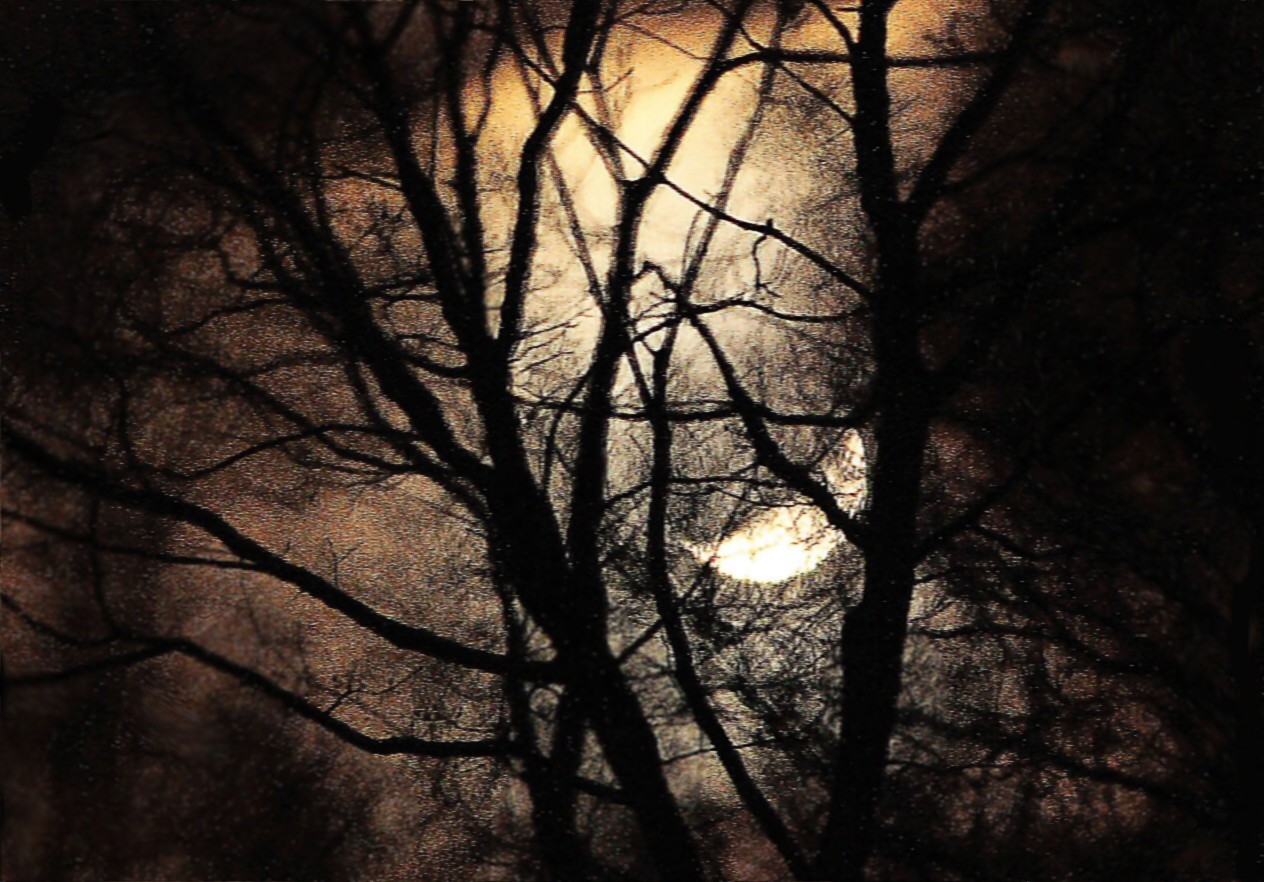 Dungeon Wood Late Night Post Shadows dungeon-wood-late-night-post-shadows