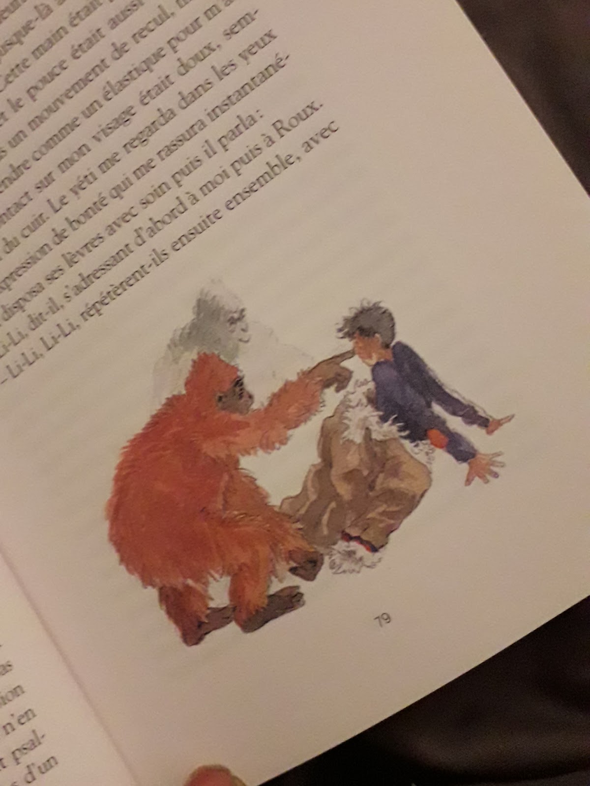 LE ROI DE LA FORÊT DES BRUMES/ MICHAËL MORPURGO ET ILLUSTRE PAR FRANCOIS PLACE LE ROI DE LA FORÊT DES BRUMES/ MICHAËL MORPURGO ET ILLUSTRE PAR FRANCOIS PLACE