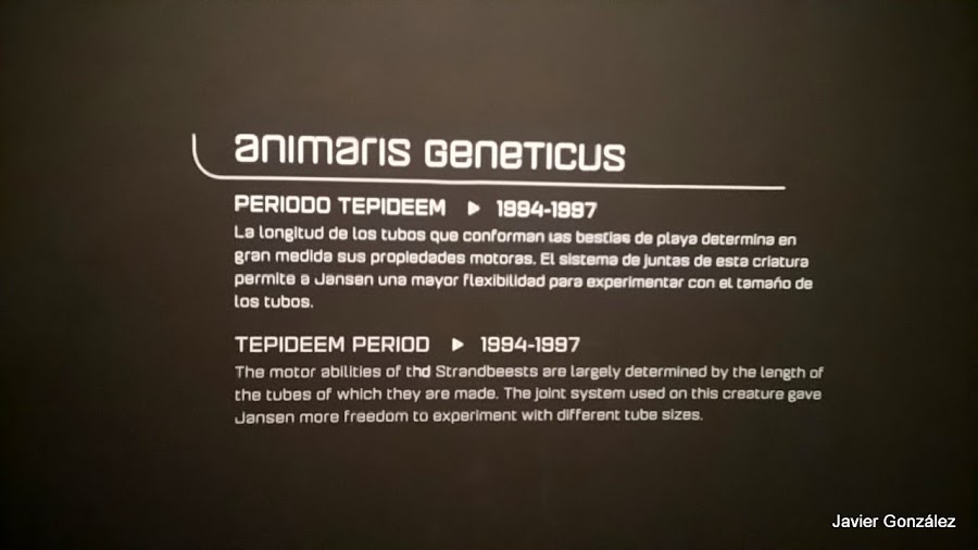 Exposición Exhibition Fundación Telefónica. 