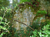 Restes de muralles cobertes totalment per la vegetació
