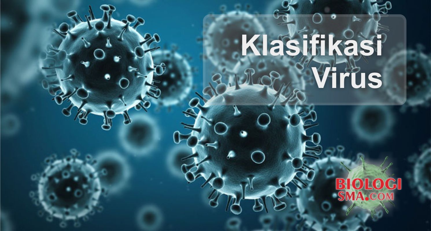  Klasifikasi Virus  Dunia Biologi