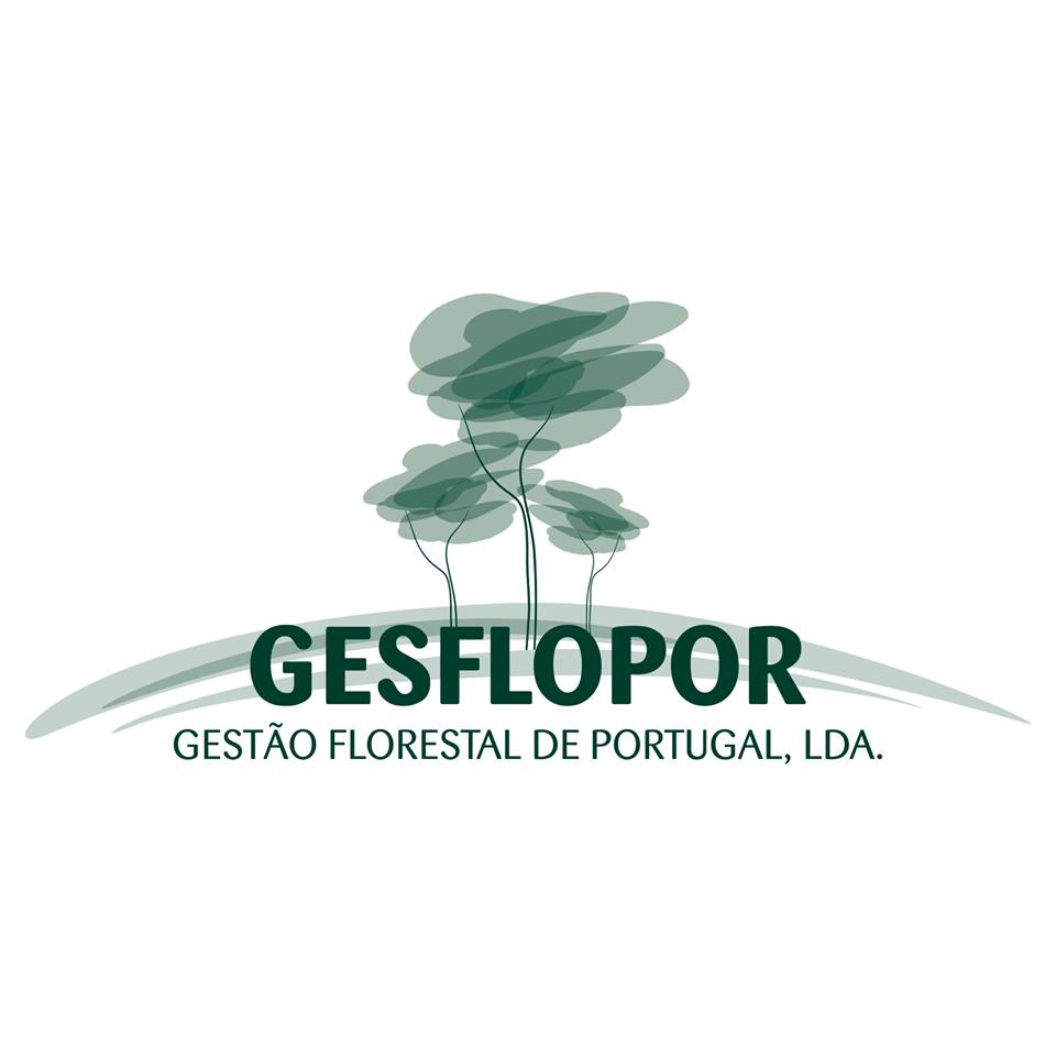 SERVIÇOS FLORESTAIS/Informe-se