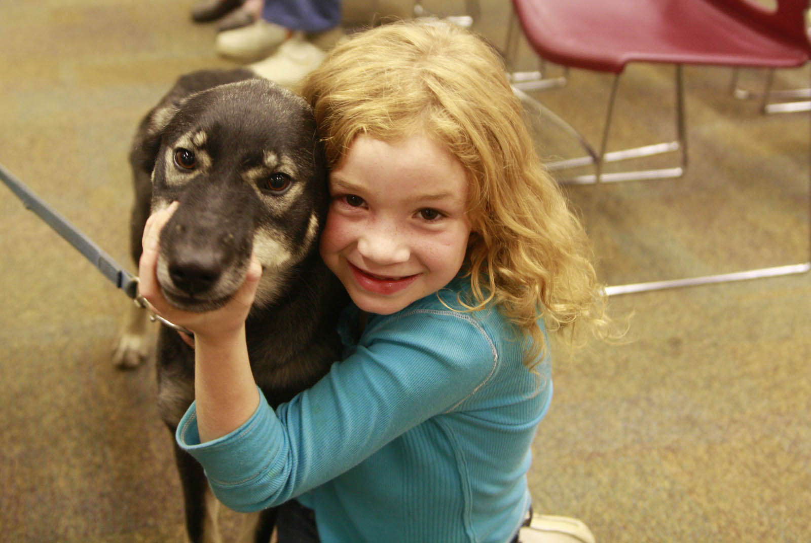 Ambassador Dog And Cat Hospital Ambassador Dog And Cat Hospital