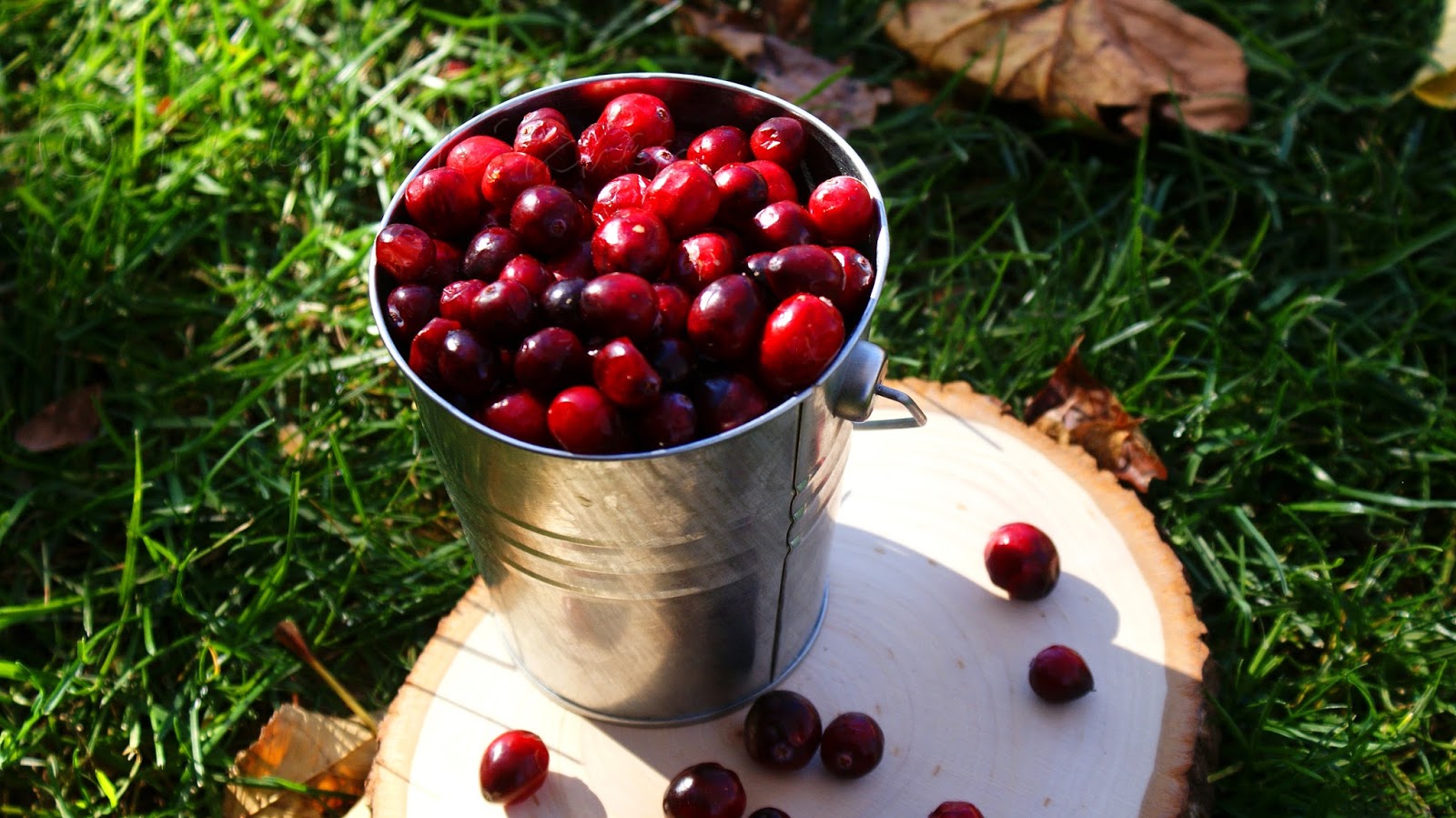 Very Berry Pom Juice (Cranberry+Blueberry+Pomegranate) MalasKitchen