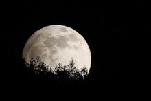 Vollmond, hier in der Schweiz