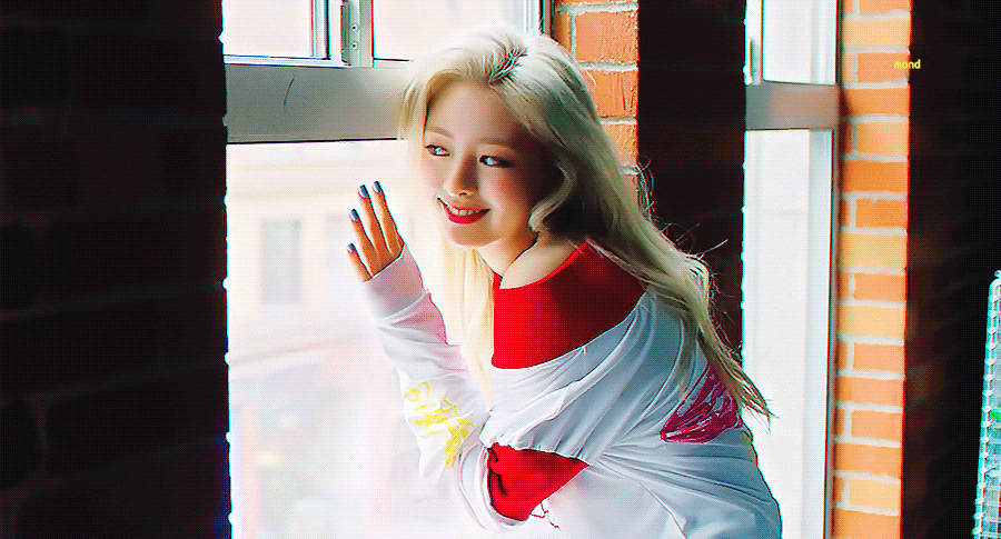 5.gif