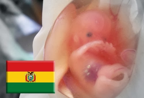 Bolivia: 5 de 10 jóvenes católicos, a favor de aborto en mujeres muy pobres