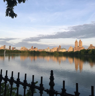 Vegetarian Guide to NYC