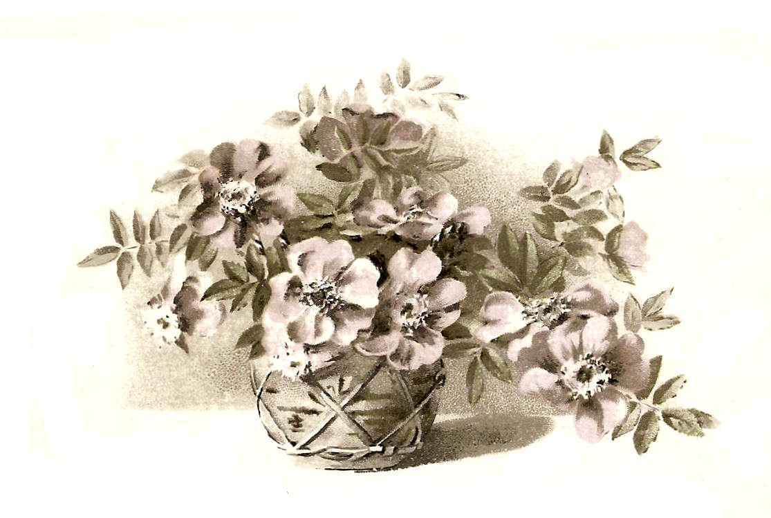 free clip art flower baskets - photo #42